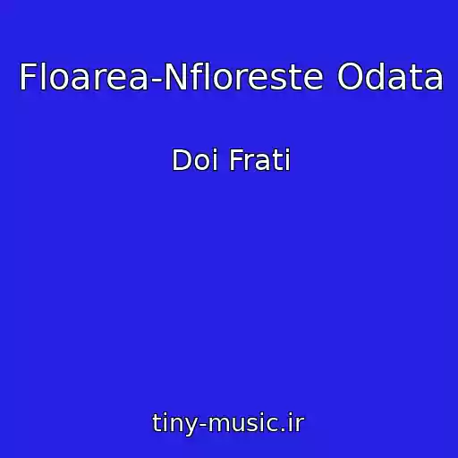 کاور آهنگ Floarea-Nfloreste Odata از Doi Frati