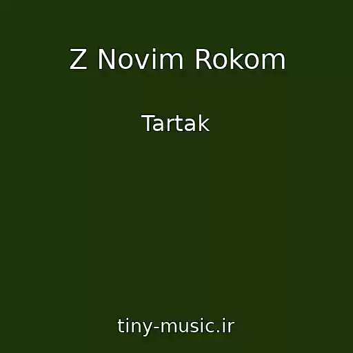 کاور آهنگ Z Novim Rokom از Tartak