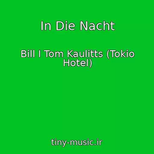 کاور آهنگ In Die Nacht از Bill I Tom Kaulitts (Tokio Hotel)