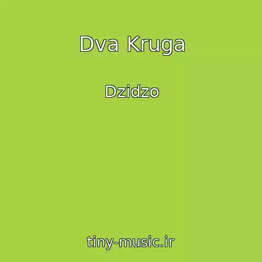 کاور آهنگ Dva Kruga از Dzidzo
