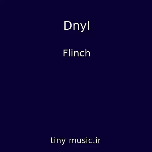 کاور آهنگ Dnyl از Flinch