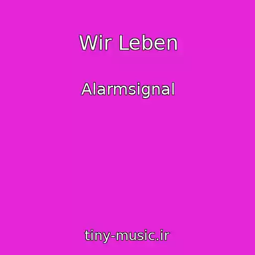 کاور آهنگ Wir Leben از Alarmsignal