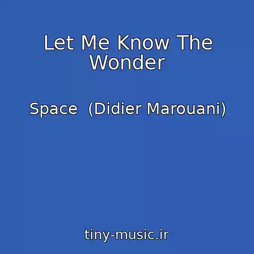 کاور آهنگ Let Me Know The Wonder از Space  (Didier Marouani)