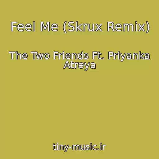 کاور آهنگ Feel Me (Skrux Remix) از The Two Friends Ft. Priyanka Atreya