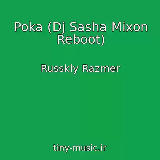 کاور آهنگ Poka (Dj Sasha Mixon Reboot) از Russkiy Razmer