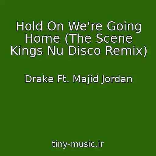 کاور آهنگ Hold On We're Going Home (The Scene Kings Nu Disco Remix) از Drake Ft. Majid Jordan