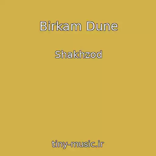 کاور آهنگ Birkam Dune از Shakhzod