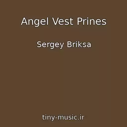 کاور آهنگ Angel Vest Prines از Sergey Briksa