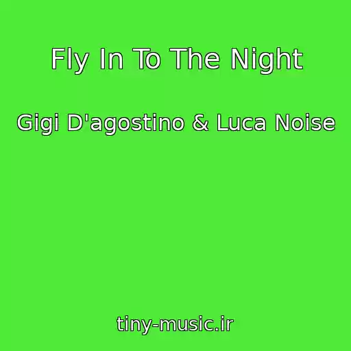 کاور آهنگ Fly In To The Night از Gigi D'agostino & Luca Noise