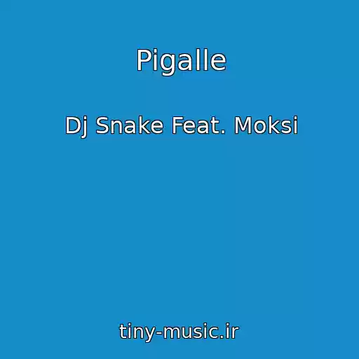کاور آهنگ Pigalle از Dj Snake Feat. Moksi