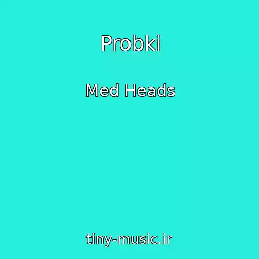 کاور آهنگ Probki از Med Heads