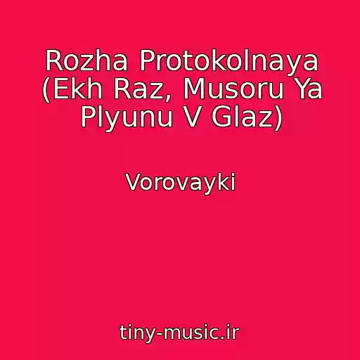 کاور آهنگ Rozha Protokolnaya (Ekh Raz, Musoru Ya Plyunu V Glaz) از Vorovayki