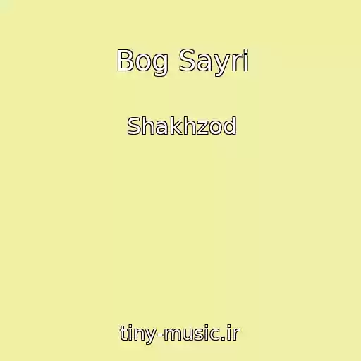 کاور آهنگ Bog Sayri از Shakhzod