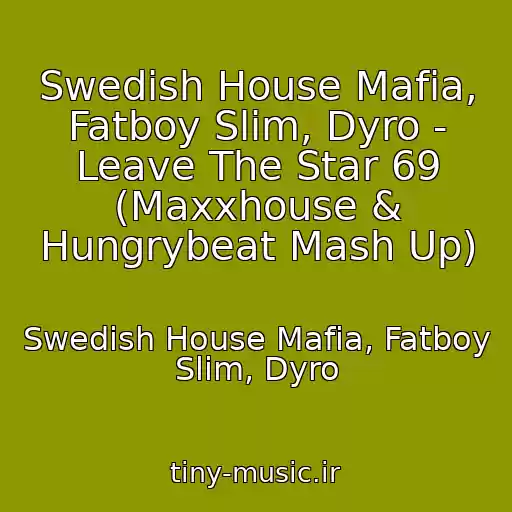 کاور آهنگ Swedish House Mafia, Fatboy Slim, Dyro - Leave The Star 69 (Maxxhouse & Hungrybeat Mash Up) از Swedish House Mafia, Fatboy Slim, Dyro