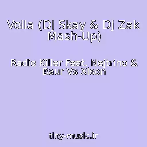 کاور آهنگ Voila (Dj Skay & Dj Zak Mash-Up) از Radio Killer Feat. Nejtrino & Baur Vs Xison