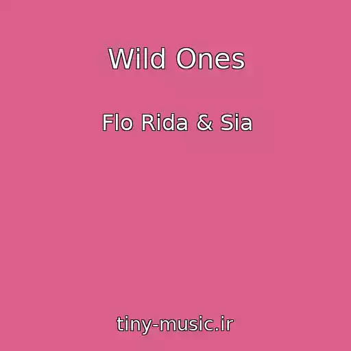 کاور آهنگ Wild Ones از Flo Rida & Sia