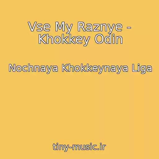 کاور آهنگ Vse My Raznye - Khokkey Odin از Nochnaya Khokkeynaya Liga