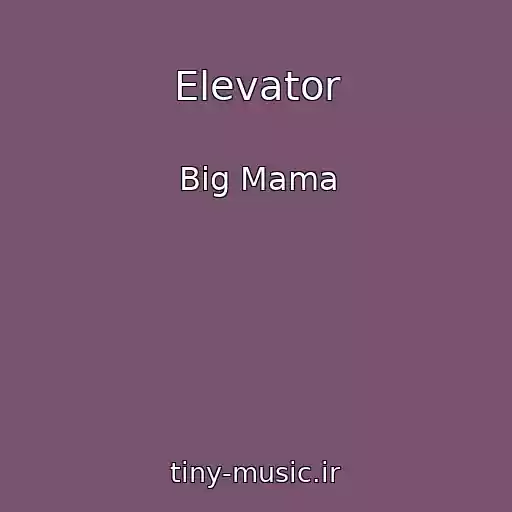 کاور آهنگ Elevator از Big Mama