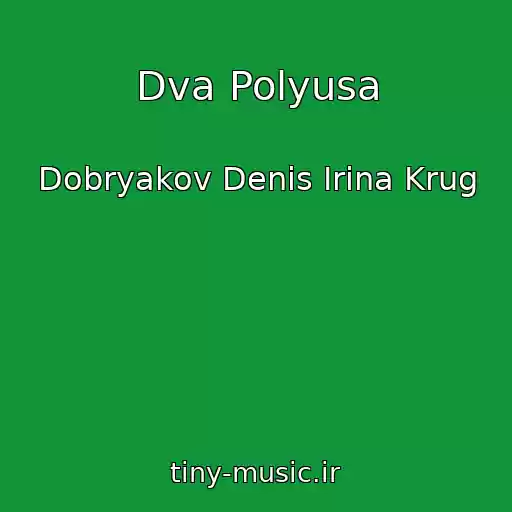 کاور آهنگ Dva Polyusa از Dobryakov Denis Irina Krug