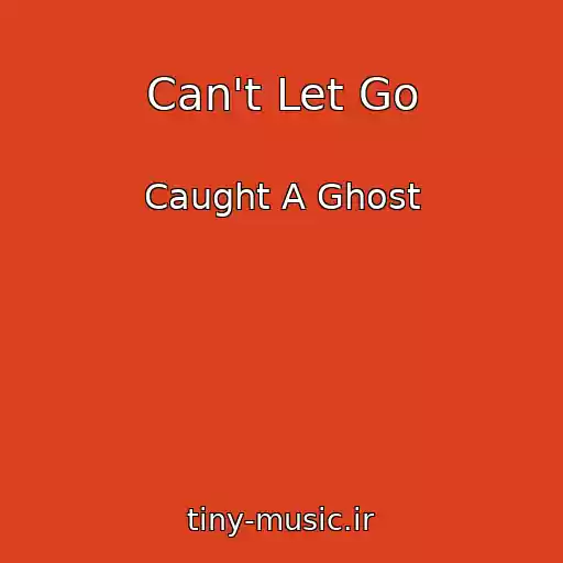 کاور آهنگ Can't Let Go از Caught A Ghost