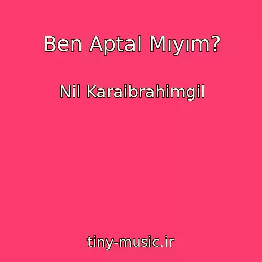 کاور آهنگ Ben Aptal Mıyım? از Nil Karaibrahimgil