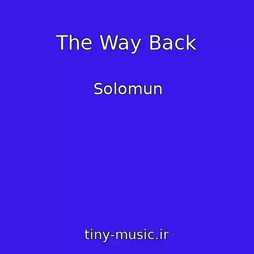 کاور آهنگ The Way Back از Solomun