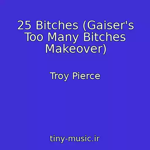 کاور آهنگ 25 Bitches (Gaiser's Too Many Bitches Makeover) از Troy Pierce