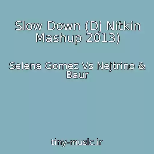 کاور آهنگ Slow Down (Dj Nitkin Mashup 2013) از Selena Gomez Vs Nejtrino & Baur