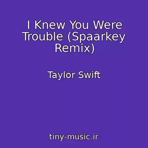 کاور آهنگ I Knew You Were Trouble (Spaarkey Remix) از Taylor Swift
