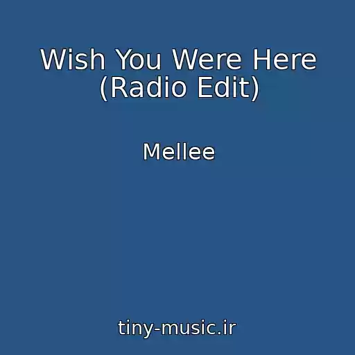 کاور آهنگ Wish You Were Here (Radio Edit) از Mellee