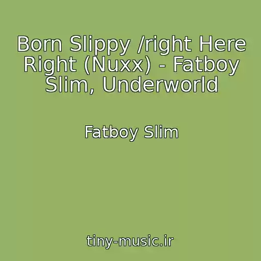 کاور آهنگ Born Slippy /right Here Right (Nuxx) - Fatboy Slim, Underworld از Fatboy Slim