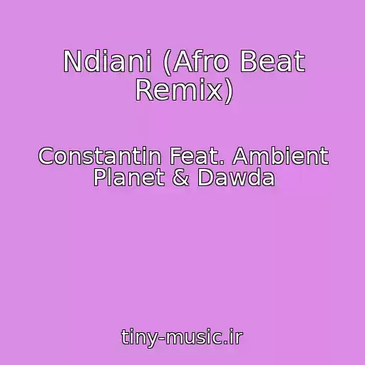 کاور آهنگ Ndiani (Afro Beat Remix) از Constantin Feat. Ambient Planet & Dawda