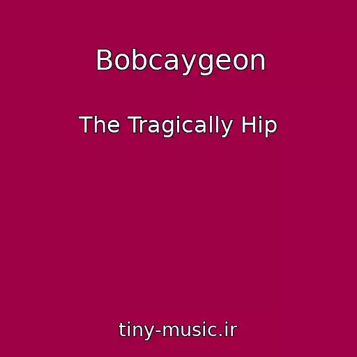 کاور آهنگ Bobcaygeon از The Tragically Hip