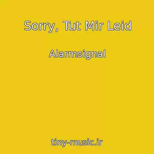 کاور آهنگ Sorry, Tut Mir Leid از Alarmsignal