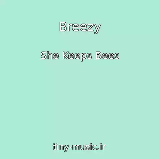 کاور آهنگ Breezy از She Keeps Bees