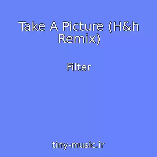کاور آهنگ Take A Picture (H&h Remix) از Filter