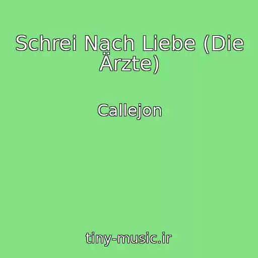 کاور آهنگ Schrei Nach Liebe (Die Ärzte) از Callejon