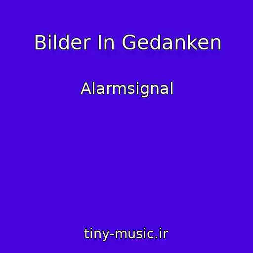 کاور آهنگ Bilder In Gedanken از Alarmsignal
