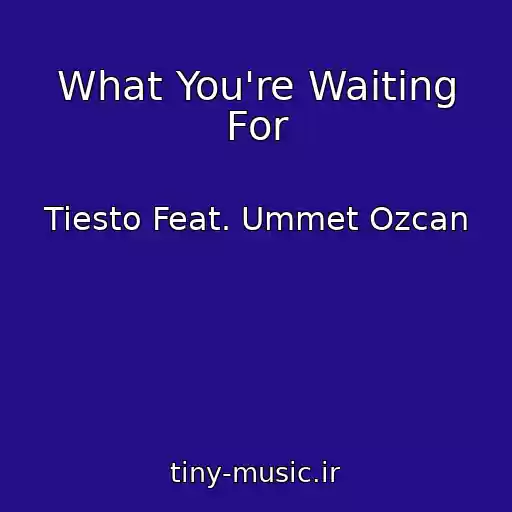 کاور آهنگ What You're Waiting For از Tiesto Feat. Ummet Ozcan