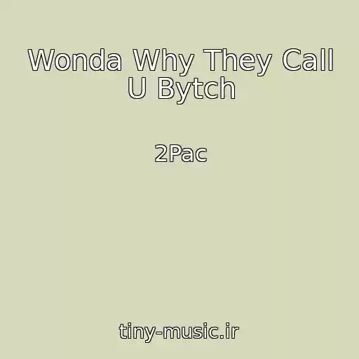 کاور آهنگ Wonda Why They Call U Bytch از 2Pac