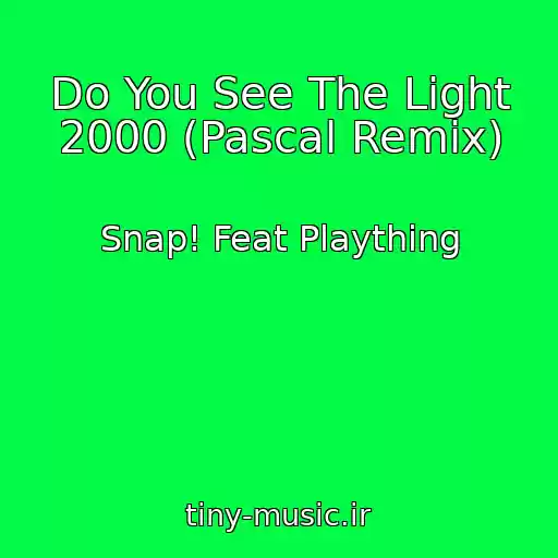 کاور آهنگ Do You See The Light 2000 (Pascal Remix) از Snap! Feat Plaything