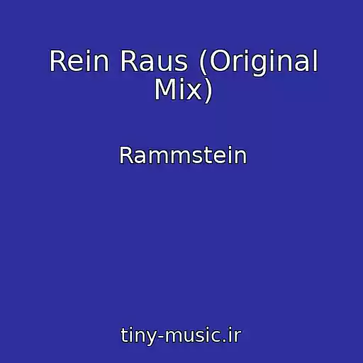 کاور آهنگ Rein Raus (Original Mix) از Rammstein