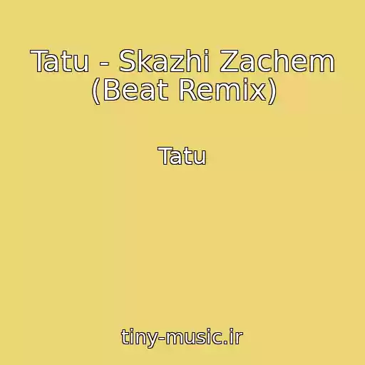 کاور آهنگ Tatu - Skazhi Zachem (Beat Remix) از Tatu
