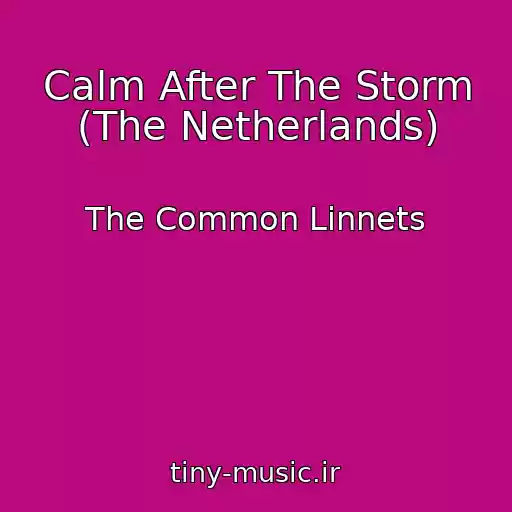 کاور آهنگ Calm After The Storm (The Netherlands) از The Common Linnets