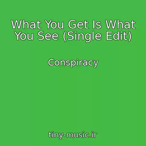 کاور آهنگ What You Get Is What You See (Single Edit) از Conspiracy