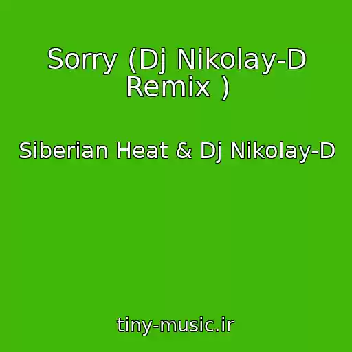 کاور آهنگ Sorry (Dj Nikolay-D Remix ) از Siberian Heat & Dj Nikolay-D