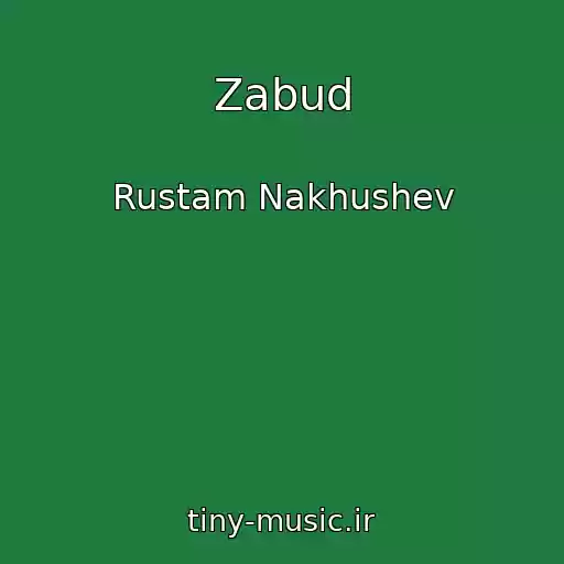 کاور آهنگ Zabud از Rustam Nakhushev