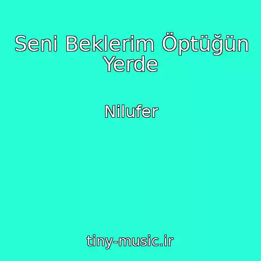 کاور آهنگ Seni Beklerim Öptüğün Yerde از Nilufer