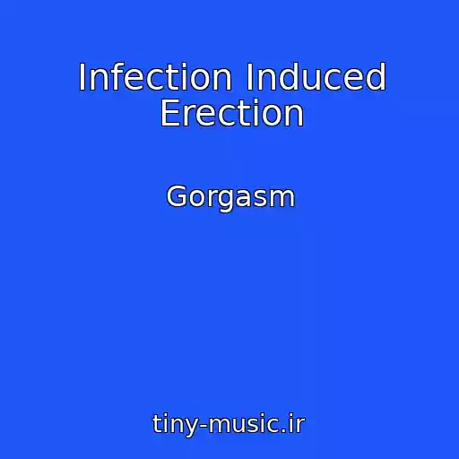 کاور آهنگ Infection Induced Erection از Gorgasm