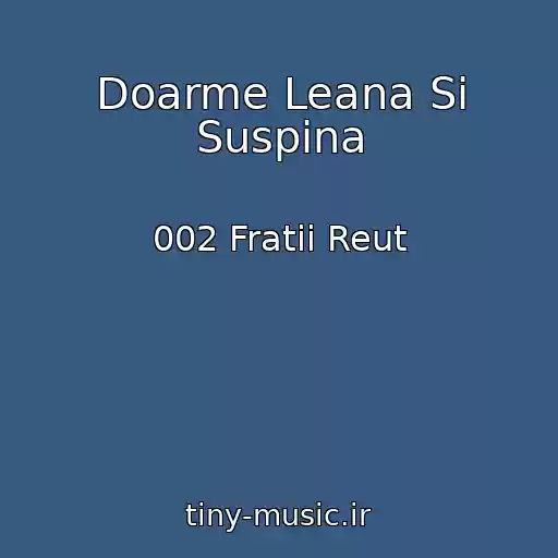 کاور آهنگ Doarme Leana Si Suspina از 002 Fratii Reut